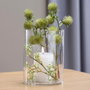 Day Vase Cylindre Transparent 15x20 cm