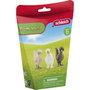 Schleich Coffret de Figurines Poules Trio de poules Farm World
