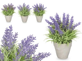IBERGARDEN Macetero Lavanda Mediano Surt 3