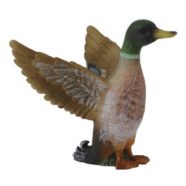 COLLECTA Canard Colvert (Mâle)