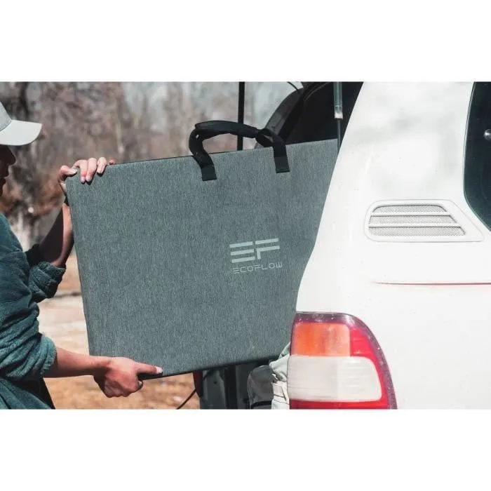 EcoFlow Panneau Solaire 220W Silicon Monocristallin IP68 ECO4897082666332