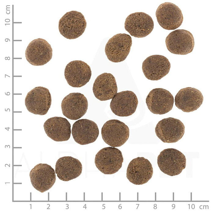 Nourriture Wolfsblut Adulte Canard Patate douce 12 kg Nourriture Wolfsblut Adulte Canard Patate douce 12 kg
