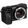 Sony Alpha 6600 Boîtier Noir