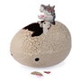 Spin Master - Oeuf dinosaure Primal Hatch hybride - Jouet avec seringue pour éclosion - Dimensions: 14,9 x 14,9 x 10,1 cm