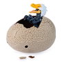 Spin Master - Oeuf dinosaure Primal Hatch hybride - Jouet avec seringue pour éclosion - Dimensions: 14,9 x 14,9 x 10,1 cm