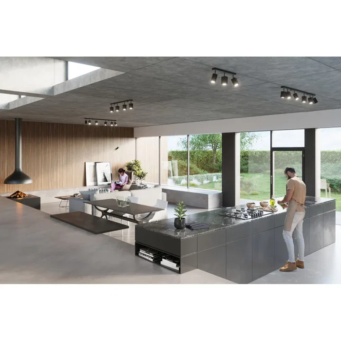 Merida-1 Lámpara de Techo SOL-SL.0464 - Luminaire Plafonnier Style Industriel en Acier avec Inclinaison Réglable