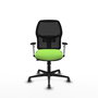PIQUERAS Y CRESPO Chaise Alfera Synchrone Vert pistache/Maille Noir