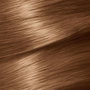 Garnier Nutrisse #6.41-Ambre douce (Pack de 3)