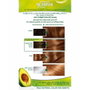 Garnier Nutrisse #6.41-Ambre douce (Pack de 3)