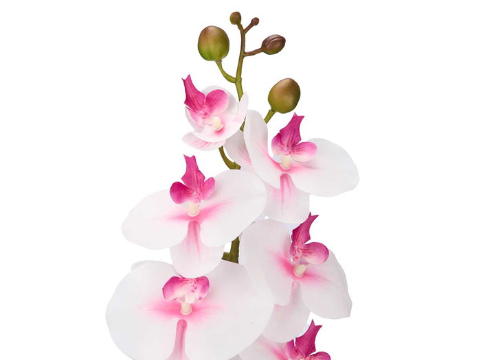 IBERGARDEN RAMA ORQUIDEA 60 CM SURT 3