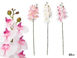 IBERGARDEN RAMA ORQUIDEA 60 CM SURT 3