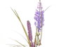 Ibergarden Bouquet Lavande Plastique et Corde 20x48x20 cm Violet (Set de 6)
