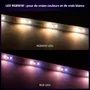 Philips Hue Solo Lightstrip - Ruban LED connecté intelligent, 3 mètres, blanc, éclairage d'ambiance intérieur, compatible avec l'écosystème Hue