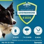 Seresto Collier Anti-Puces et Anti-Tiques pour Chiens +8kg, 2 Unités - Protection Jusqu'à 8 Mois