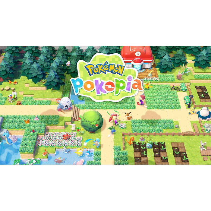 Console de Jeu Portable Nintendo 10016242