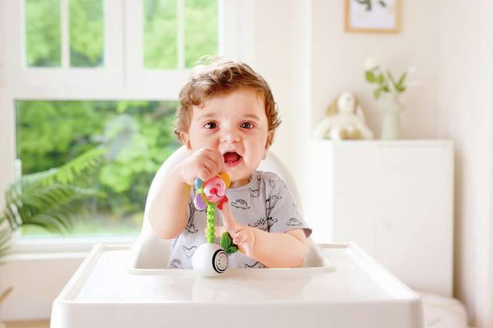 Hape - Sonajero-mordedor flor shake & sparkle rattle 0-18 m - Jouet d'éveil et anneau de dentition pour bébé de 0 à 18 mois