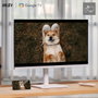 MSI Modern MD272UPSW Moniteur 27 pouces 4K UHD Blanc