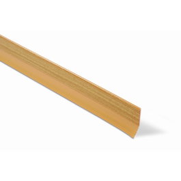 BRINOX Burlete en caoutchouc adhésif 100 cm PINO