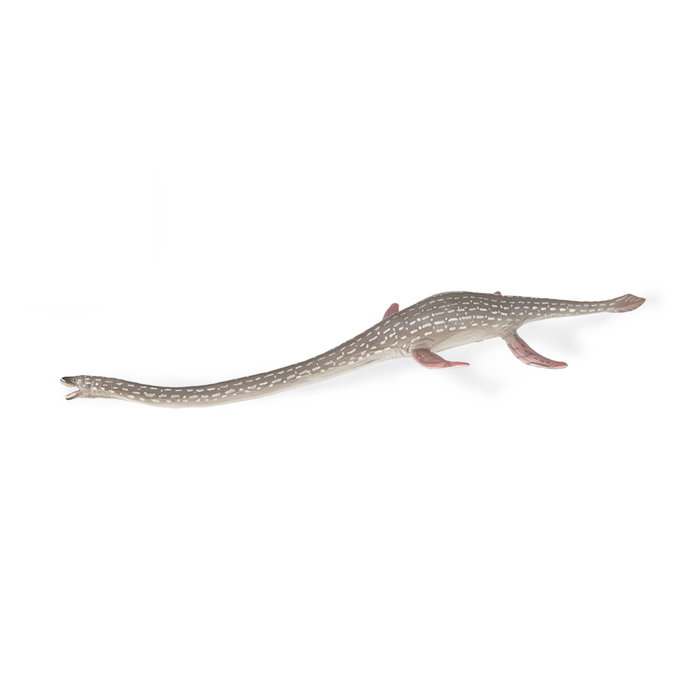 COLLECTA Elasmosaurus COLLECTA Elasmosaurus