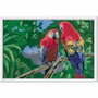 Ravensburger CreArt Kids Kit de peinture par numéros Perroquets
