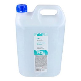 TERPENIC Gel Hydroalcoolique Hygiénisant à l'Aloe Vera 5000ml