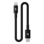 Câble USB-C vers Lightning Apple MEQM4ZM/A Noir 20 cm