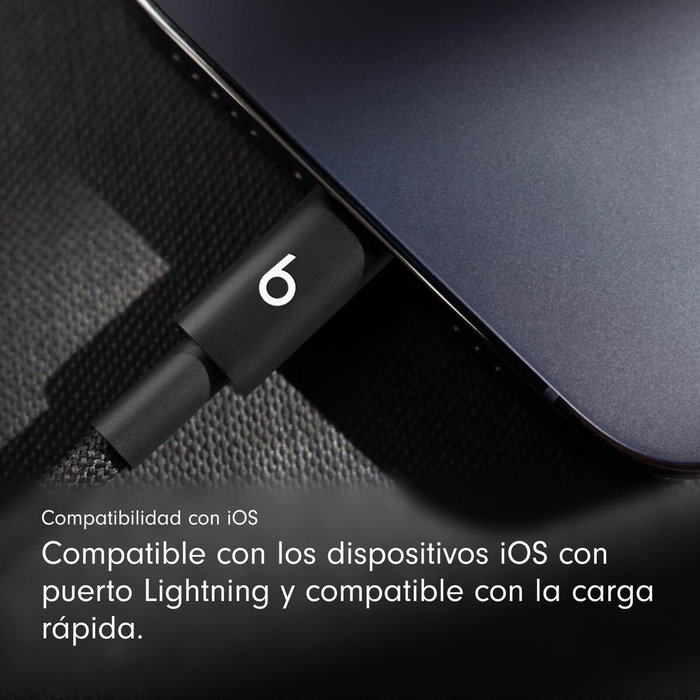 Câble USB-C vers Lightning Apple MEQM4ZM/A Noir 20 cm