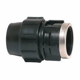 Plasson Connecteur mixte filetage femelle 25 mm x ¾ pulg