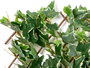 Ibergarden Panneau extensible 90x180cm Blanc et vert