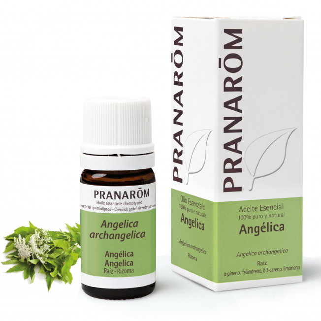 PRANAROM ACEITES Huile essentielle d'Angelica 5ml