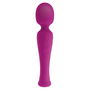 Masseur S Pleasures Wand Rose