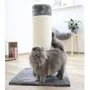 Kerbl Poteau griffoir pour chat tronc Opal Ultra 80 cm - Gris - Arbre à chat avec aire de jeu