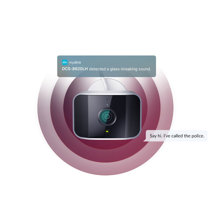 Camescope de surveillance D-Link DCS-8620LH