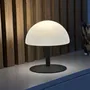Lumisky Lampe de Table sans Fil NEPTUNE ROCK, 20 cm, Pied en Acier Gris, LED Blanc Chaud et Blanc Froid Dimmable, Intérieur/Extérieur, Autonomie 8h