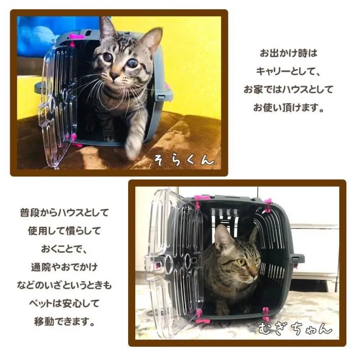 Ferplast Panier de Transport JET 10 pour Chat et Petit Chien (Jusqu'à 5 kg) - Dimensions 32 x 47 x 29 cm - Plastique Robust