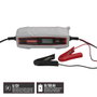 WOLFPACK LINEA PROFESIONAL Chargeur de batterie automatique 4/12V 10-10Ah