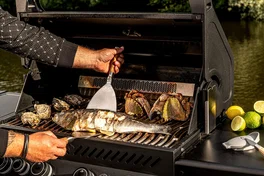 Forged Spatule plancha BBQ en acier inoxydable et bois d'olivier