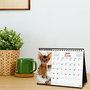 Calendrier de bureau Finocam Multicouleur Papier 21 x 15 cm
