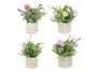 Ibergarden Maceta Carrée Fleurs Assorties Plastique 20x32x20 cm (Set de 8)