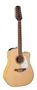Takamine GD74 Guitare Electro-Acoustique Dreadnought Cutaway Natural