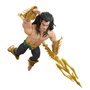 Hasbro Marvel Legends Namor - Figurine d'action de 15 cm