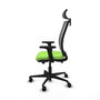 Piqueras Y Crespo Haches Chaise de Bureau avec Mécanisme Sincro/Traslack, Pistacho et Gris