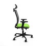 Piqueras Y Crespo Haches Chaise de Bureau avec Mécanisme Sincro/Traslack, Pistacho et Gris