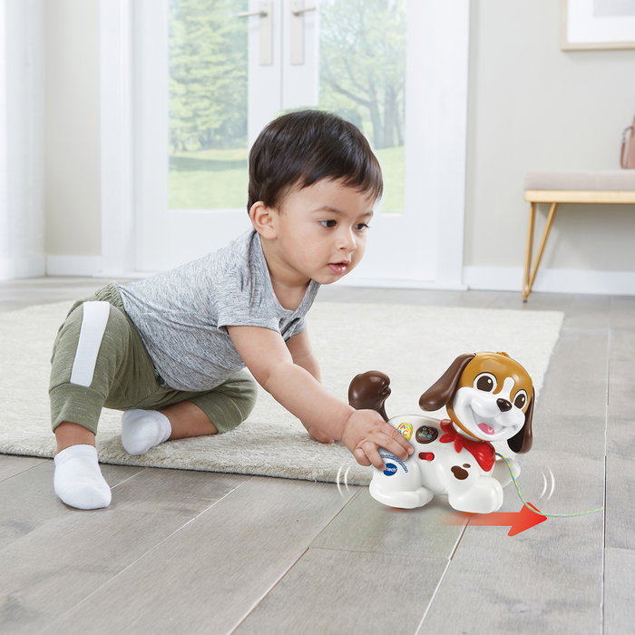 V-Tech Perrito Arrastre Paseos Y Aventuras 80-565022 - Chien interactif à tirer pour enfants, apprentissage lettres et vocabulaire, à partir de 15 mois