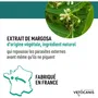 VETOCANIS Shampoing Répulsif Anti-Puces, Anti-Tiques et Anti-Moustiques pour Chat - Extrait de Margosa - Pelage Propre et Brillant - 300 ml