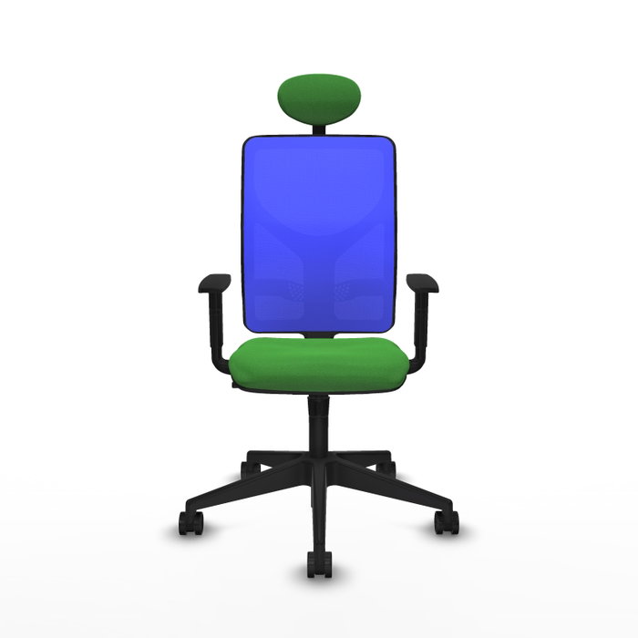 Piqueras y Crespo Chaise de Bureau Motilla Vert et Bleu