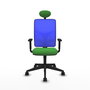 Piqueras y Crespo Chaise de Bureau Motilla Vert et Bleu