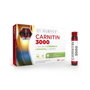 MARNYS CARNITIN 3000 liposomada 14 viales