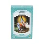 Radhe Shyam Traitement capillaire ayurvédique Amla 100g