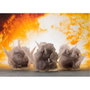 Tamashii Nations Figure Capitán América Marvel Avengers Infinity War avec effets spéciaux
